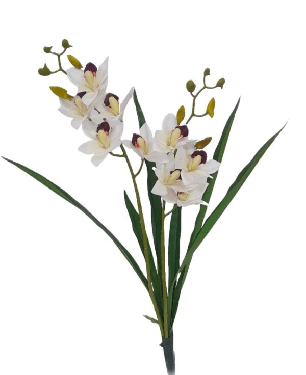 HASTE DE ORQUIDEA CYMBIDIUM X 2 C/ FOLHA