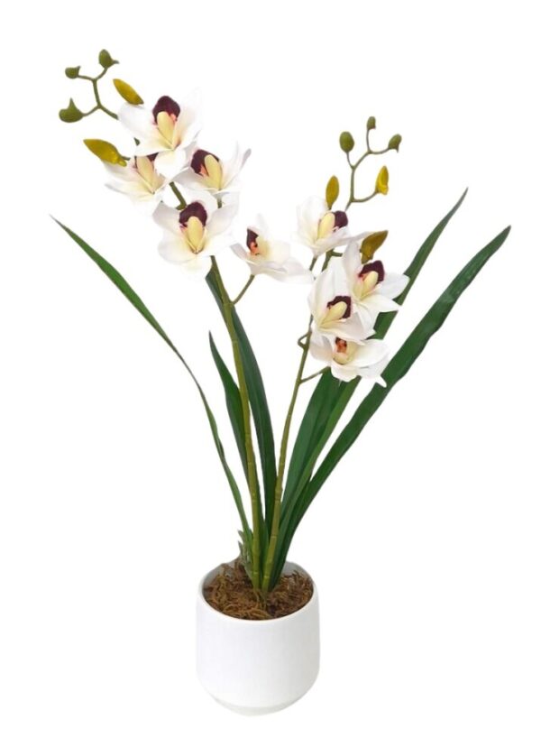 VASO DE ORQUIDIA CYMBIDIUM X 2