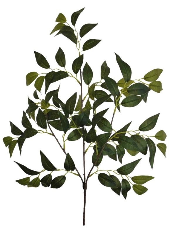 HASTE FOLHA DE FICUS BENJAMINA