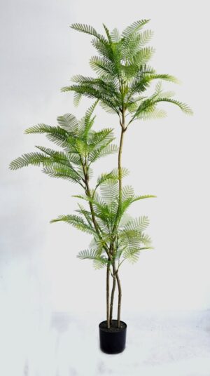 PLANTA DE FETO