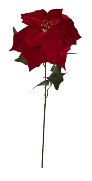 HASTE POINSETIA VELUDO