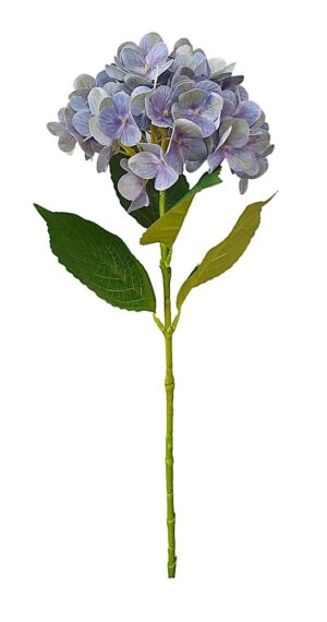 HASTE DE HORTÊNSIA