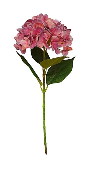 HASTE DE HORTÊNSIA