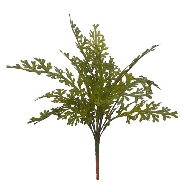 RAMO DE SELAGINELLA