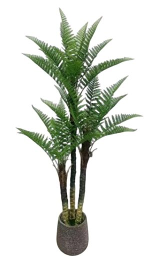 PLANTA DE FETO X 3