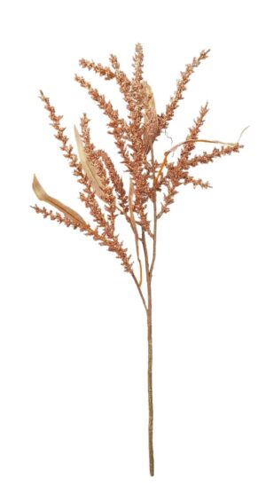 HASTE ASTILBE X 3