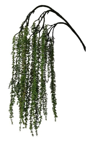 HASTE SENECIO HERREIANUS ON TEARDROPS X3 C/ 130 CM