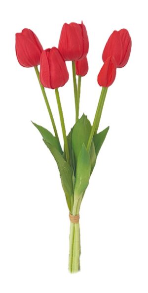 ATADO DE TULIPAS X 6