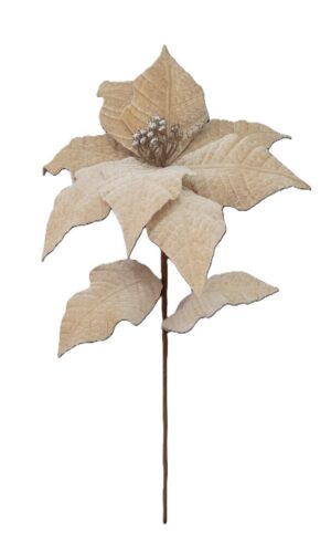HASTE POINSETIA VELUDO