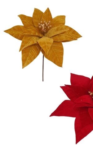 POINSETIA VELUDO