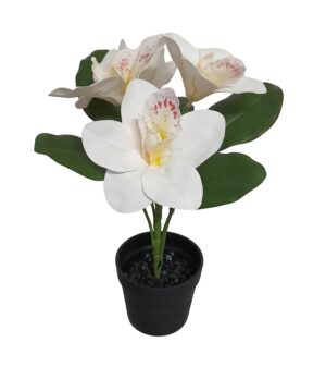 VASO DE ORQUÍDEA