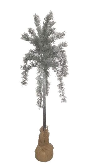 CEDRO C/ BASE SERAPILHEIRA