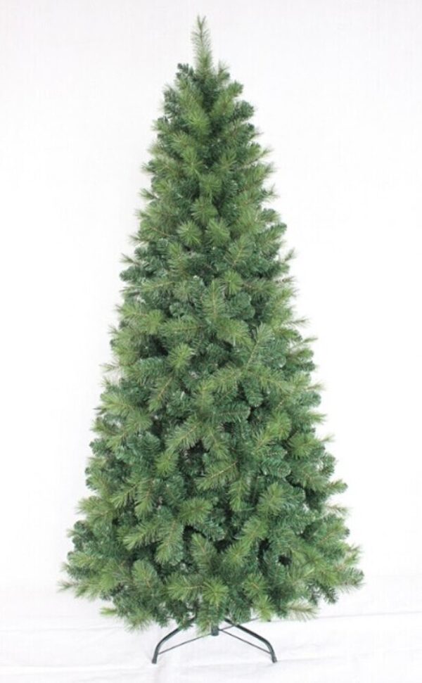 PINHEIRO VERDE