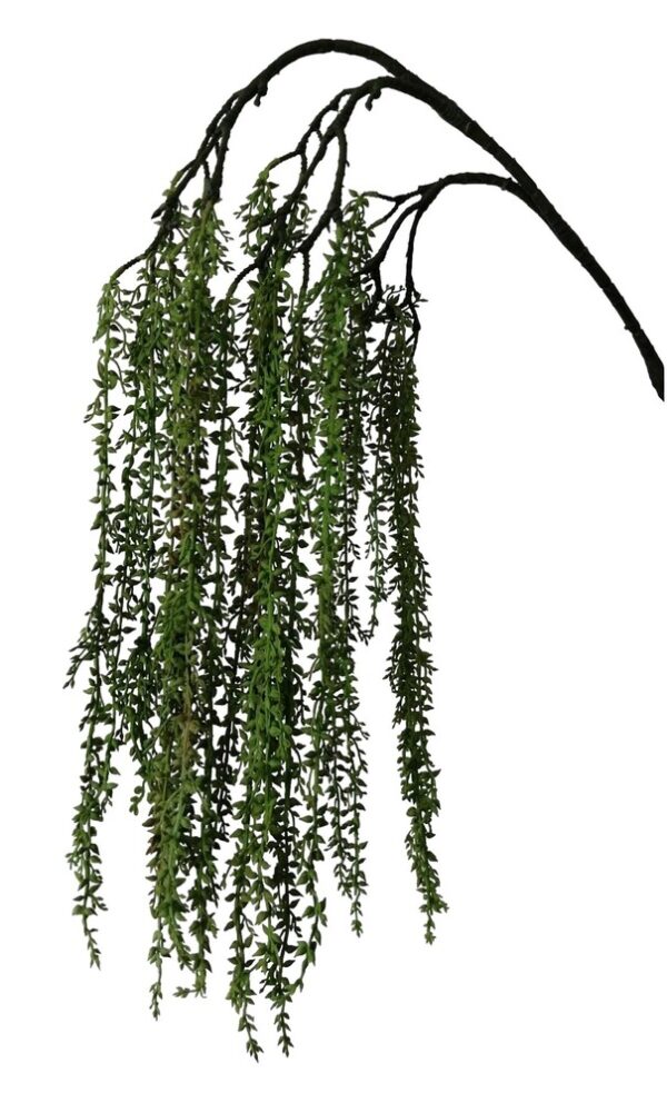 HASTE SENECIO HERREIANUS ON TEARDROPS X3 C/ 130 CM