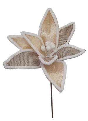 PICK POINSETIA