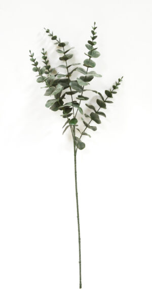 HASTE DE EUCALIPTO X 5