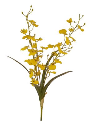 HASTE DE ORQUÍDEA ONCIDIUM