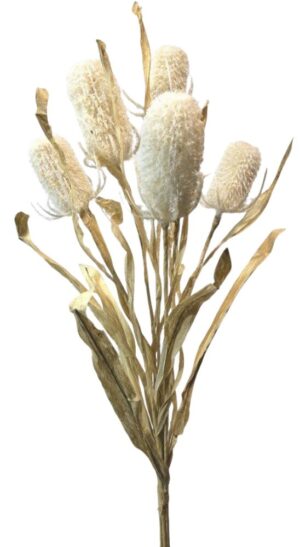 ATADO DE CARDOS FECHADOS X 5