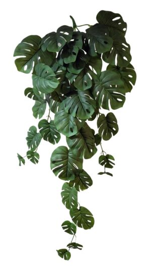 PENDENTE DE COSTELA DE ADÃO