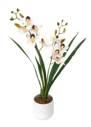 VASO DE ORQUIDIA CYMBIDIUM X 2