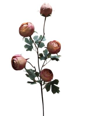 HASTE DE RANUNCULO X 5