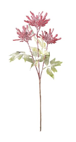 HASTE DE GREVILA X 3