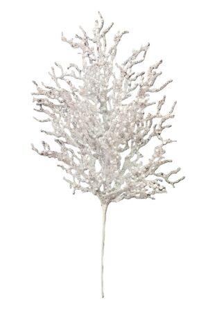 HASTE BAGAS C/ RAÍZES