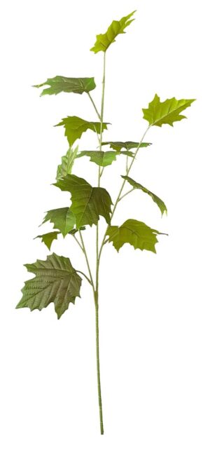 HASTE C/ FOLHAS DE PLÁTANO X 3