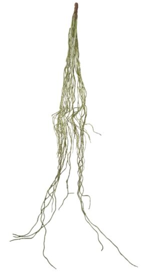 PENDENTE "RHIPSALIS"