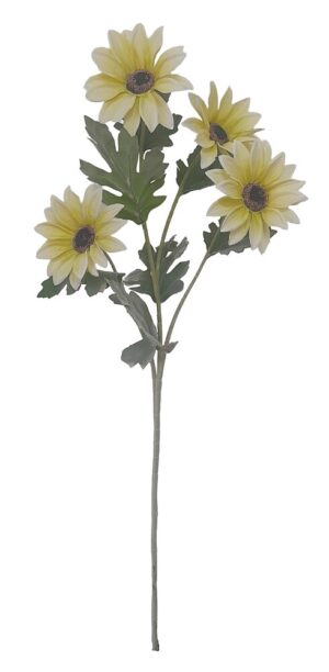 HASTE DE MALMEQUERES X 3