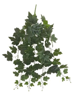 PENDENTE VIDEIRAPENDENTE VIDEIRA