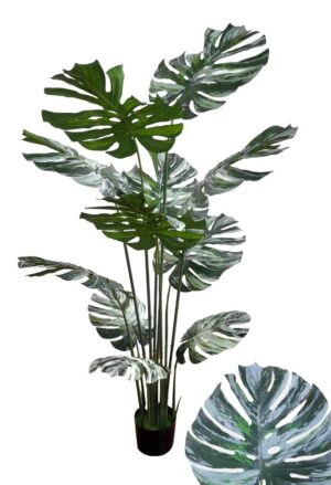 PLANTA COSTELA DE ADÃO X 11 FLS