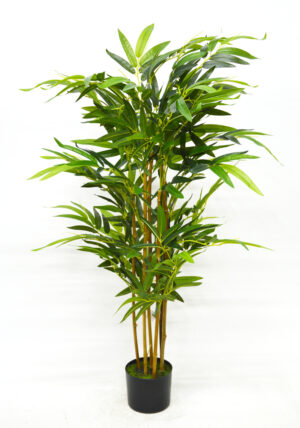 PLANTA DE BAMBOO