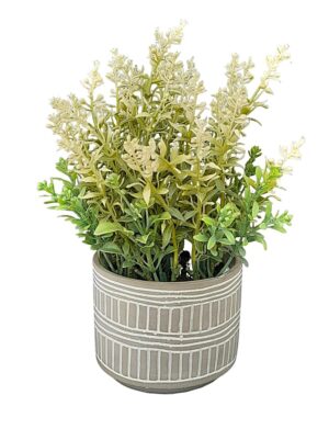 VASO EM CERÂMICA C/ TOMILHO