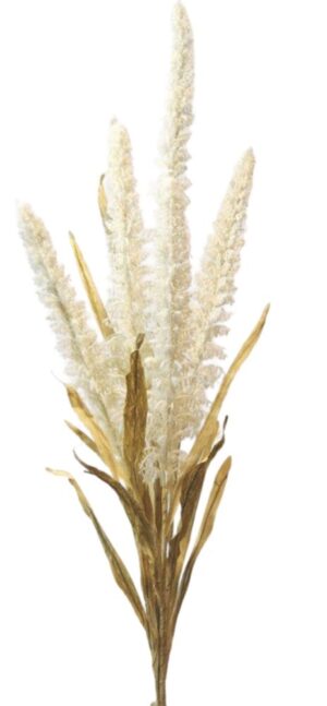 ATADO DE AMARANTOS GR. X 5