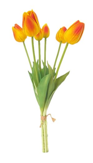 ATADO DE TULIPAS X 6