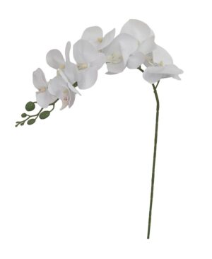 HASTE DE ORQUÍDEA X 9