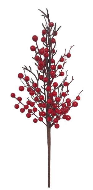 HASTE C/ BAGAS E RAÍZES