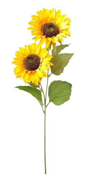 HASTE DE GIRASSOL X 2