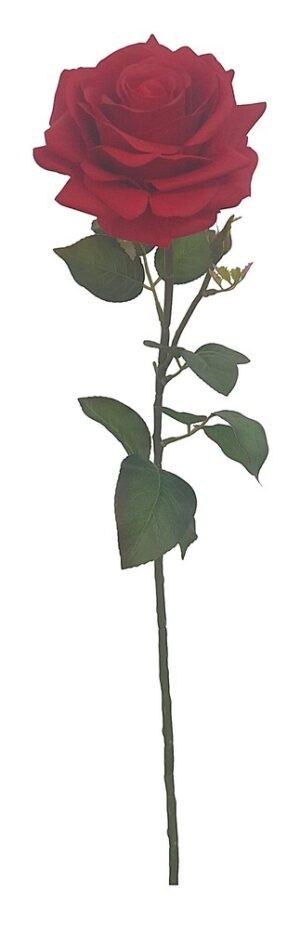 HASTE ROSA TOQUE NATURA