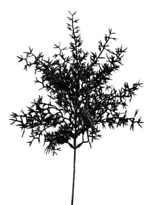 HASTE ALECRIM C/ GLITTER