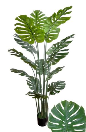 PLANTA COSTELA DE ADÃO X 14 FLS