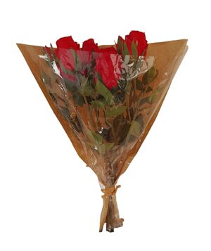 ATADO DE BOTÕES X 3 C/ CELOFANE