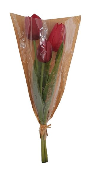 ATADO DE TULIPAS X 3 C/ CELOFANE