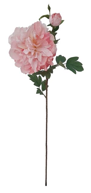 HASTE DE PEONIA C/ BOTÃO