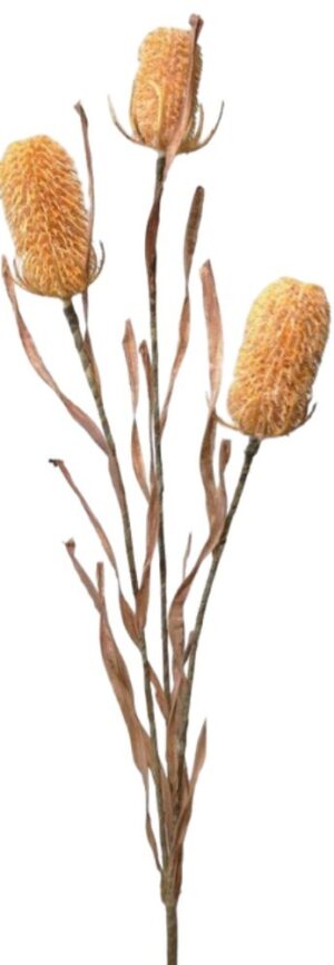 HASTE DE CARDOS FECHADOS X 3