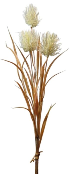 ATADO DE CARDOS ABERTOS X 3