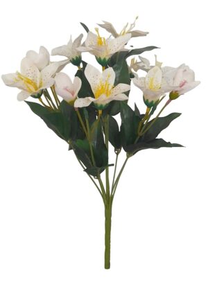 RAMO DE ASTROMÉNIAS