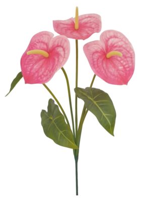 ANTÚRIO X 3 C/ FOLHAS