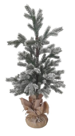 PINHEIRO C/ BASE SERAPILHEIRA